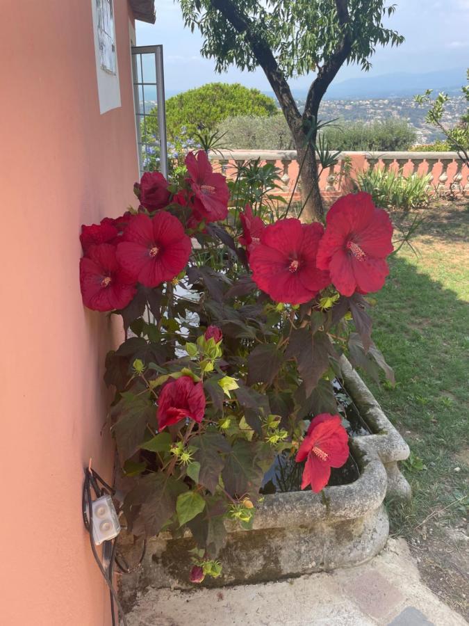 Chambre D'Hotes A L'Ancre Marine De La Villa Rose Nizza Exterior foto